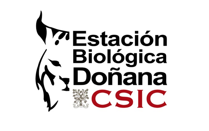 Logotipo EBD