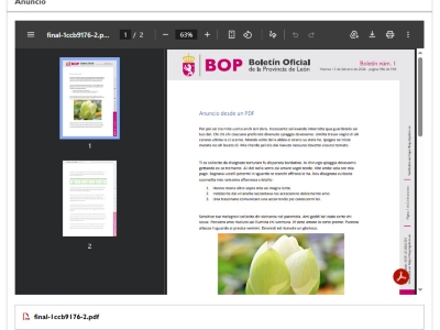 Detalle de previsualización de anuncio por pdf