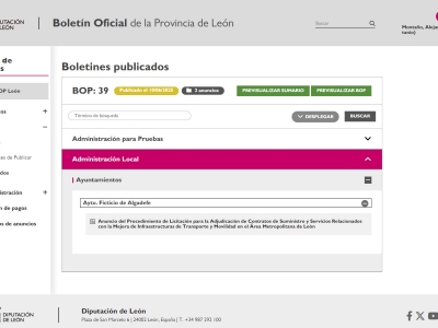 Detalle de un boletín publicado